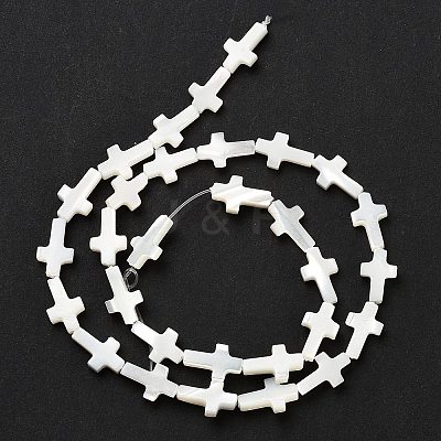 Natural White Shell Beads Strands SSHEL-F0812C-1