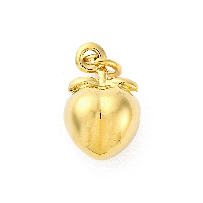 304 Stainless Steel Charms STAS-U049-01A-04G-1
