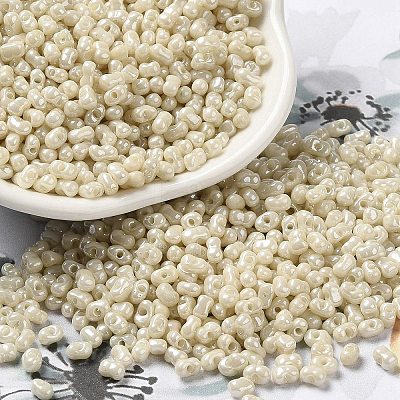 Glass Seed Beads SEED-K009-02A-08-1