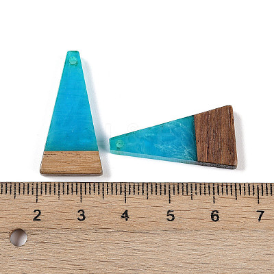 Resin & Wood Pendants WOOD-F015-03D-1