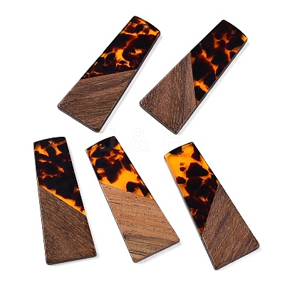 Opaque Resin & Walnut Wood Pendants RESI-T058-04C-1
