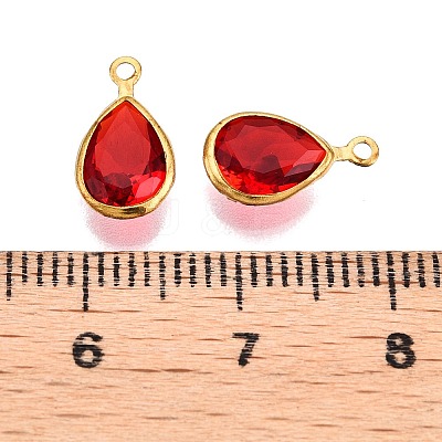 K9 Glass Charms GLAA-T023-10B-1