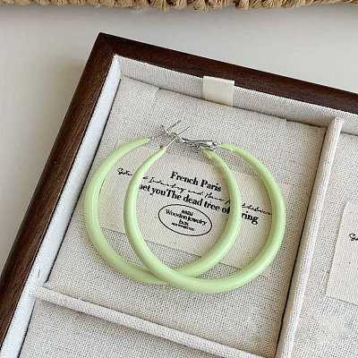 Alloy Epoxy Hoop Earrings FS-WG979F0-13-1