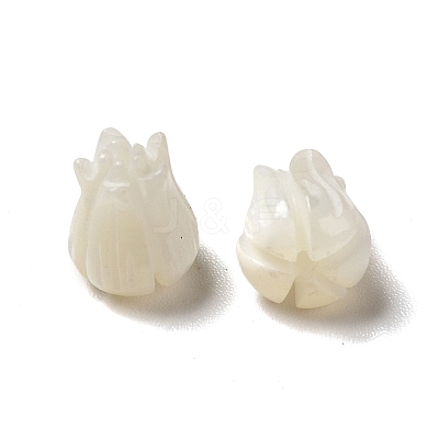 Natural Trochid Shell/Trochus Shell Beads BSHE-E026-03-1