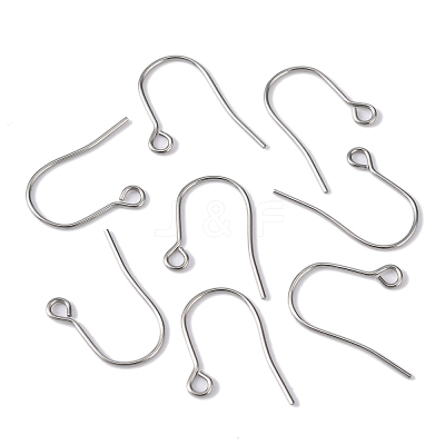 Tarnish Resistant 304 Stainless Steel Ear Wire STAS-H020-NF-1