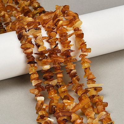 Natural Amber Chip Beads Strands G-E271-81-01-1
