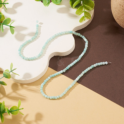 1 Strand Natural Freshwater Shell Dyed Beads Strands SHEL-TA0001-44A-1