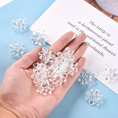 Transparent Acrylic Beads TACR-491-01-1