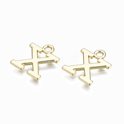 Alloy Charms PALLOY-Q441-025X-NR-1