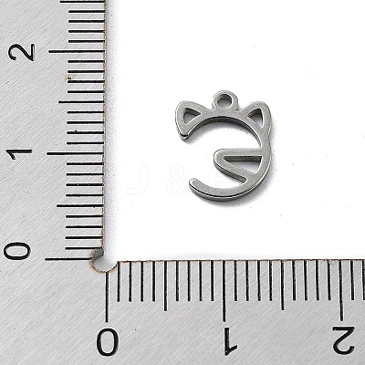 Non-Tarnish 304 Stainless Steel Charms STAS-K272-01C-P-1