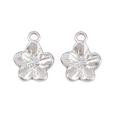 304 Stainless Steel Charms STAS-L317-02P-1