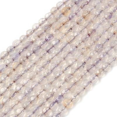 Natural Agate Beads Strands G-H302-A01-09-1