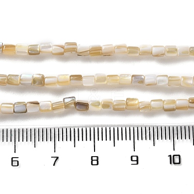 Natural Freshwater Shell Beads Strands X-SSHEL-B002-17-1