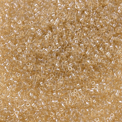 MIYUKI Delica Beads X-SEED-J020-DB0101-1