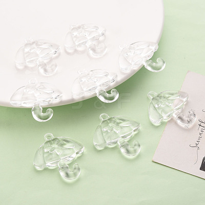 Transparent Acrylic Pendants TACR-T024-01B-205-1