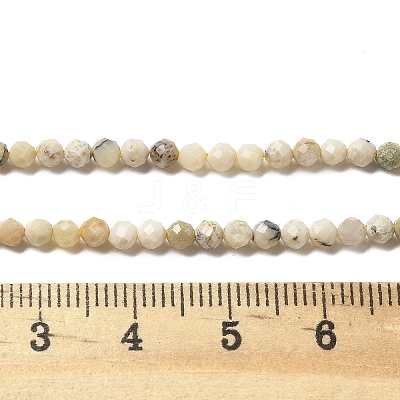 Natural Yellow Opal Beads Strands G-B145-A03-3mm-1