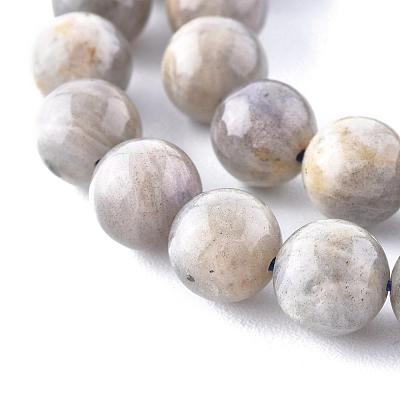 Natural Labradorite Beads Strands X-G-G212-8mm-23-1