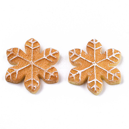 Resin Decoden Cabochons LS-CRES-N022-109-1