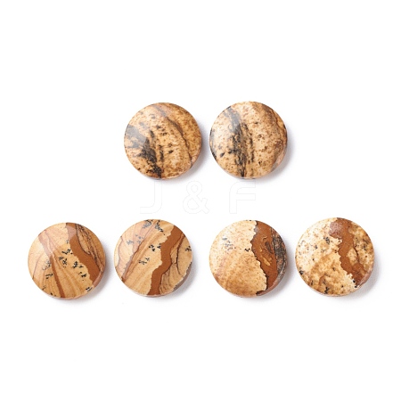 Natural Picture Jasper Cabochons G-D478-05D-01-1