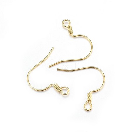 304 Stainless Steel Earring Hooks STAS-P210-19G-1