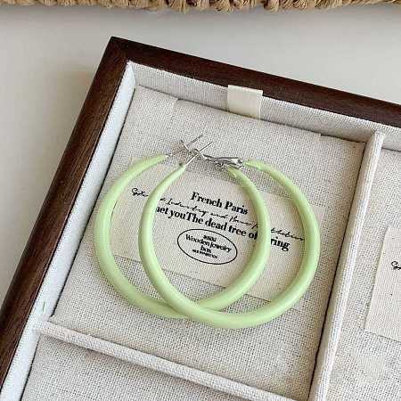 Alloy Epoxy Hoop Earrings FS-WG979F0-13-1