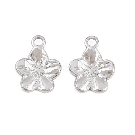 304 Stainless Steel Charms STAS-L317-02P-1