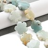 Natural Flower Amazonite Beads Strands G-F769-F01-02-2