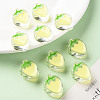 Transparent Enamel Acrylic Beads X1-TACR-S155-003B-6