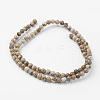 Natural Picture Jasper Bead Strands G-G735-16-4mm-2