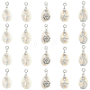30Pcs Natural Cowrie Shell & Alloy Pendants FIND-SC0019-72-1