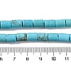 Natural Howlite Beads Strands G-H025-01-5