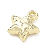 Alloy Charms AL-CBA7C55-02G-2