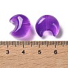 Baking Paint Transparent Glass Beads DGLA-F003-01L-3