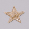 Glitter Hotfix Rhinestone DIY-WH0260-72-2