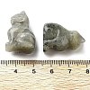 Natural Labradorite Carved Figurines DJEW-L023-B12-3