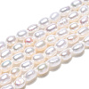 Natural Cultured Freshwater Pearl Beads Strands PEAR-N012-02L-3