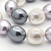 Oval Shell Pearl Bead Strands BSHE-M008-04-3