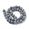 Natural African Turquoise(Jasper) Beads Strands G-D809-01-4mm-2