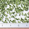 MIYUKI Delica Beads LS-X-SEED-J020-DB1207-4