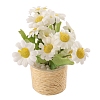 Mini Plastic Daisy Potted Plant Ornaments PW-WGEEA12-01-1