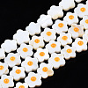 Natural Freshwater Shell Beads Strands SHEL-N003-31C-01-1