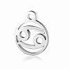201 Stainless Steel Charms STAS-T014-T505-4-1