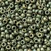 MIYUKI Round Rocailles Beads SEED-JP0009-RR2033-3