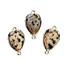 Natural Dalmatian Jasper Faceted Teardrop Connector Charms G-B081-03G-10-1