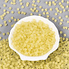 FGB Frosted Transparent Glass Seed Beads SEED-N013-03A-02-2