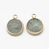 Natural Labradorite Pendants G-Q964-12G-2