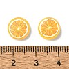 Fruit Series Opaque Resin Cabochons CRES-Q006-01D-3