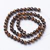 Natural Tiger Eye Beads Strands GSR6MMC014-B-3