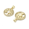 Brass Micro Pave Cubic Zirconia Pendants LS-KK-D384-06G-03-2