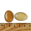 Natural Red Agate Cabochons G-L601-03D-06-3